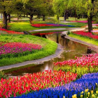 Nature fleurs de printemps fond d ecran 2560x1440 51
