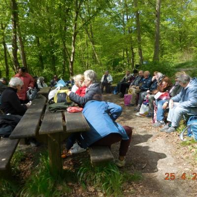  TOUR DES ETANGS DE COMMELLES AU PRINTEMPS LE 25/04/2024