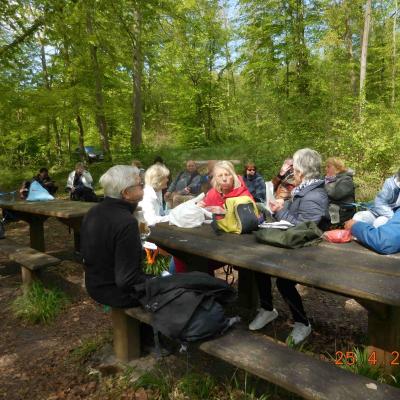  TOUR DES ETANGS DE COMMELLES AU PRINTEMPS LE 25/04/2024