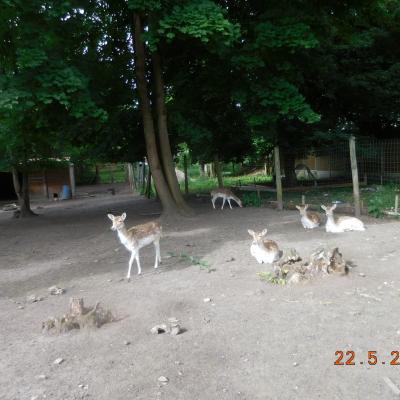 Boucle Mouy-Bury-Angy-Mouy le 22-05-2025