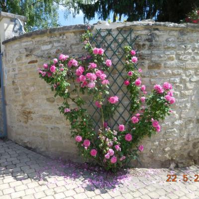 Boucle Mouy-Bury-Angy-Mouy le 22-05-2025