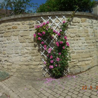 Boucle Mouy-Bury-Angy-Mouy le 22-05-2025