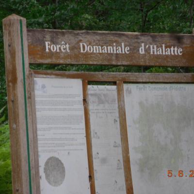 Aumont en Halatte le 05/06/2025