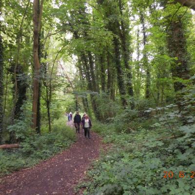  AUTOUR DE ST VAAST LES MELLO LE 20/06/2024