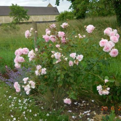  AUTOUR DE ST VAAST LES MELLO LE 20/06/2024