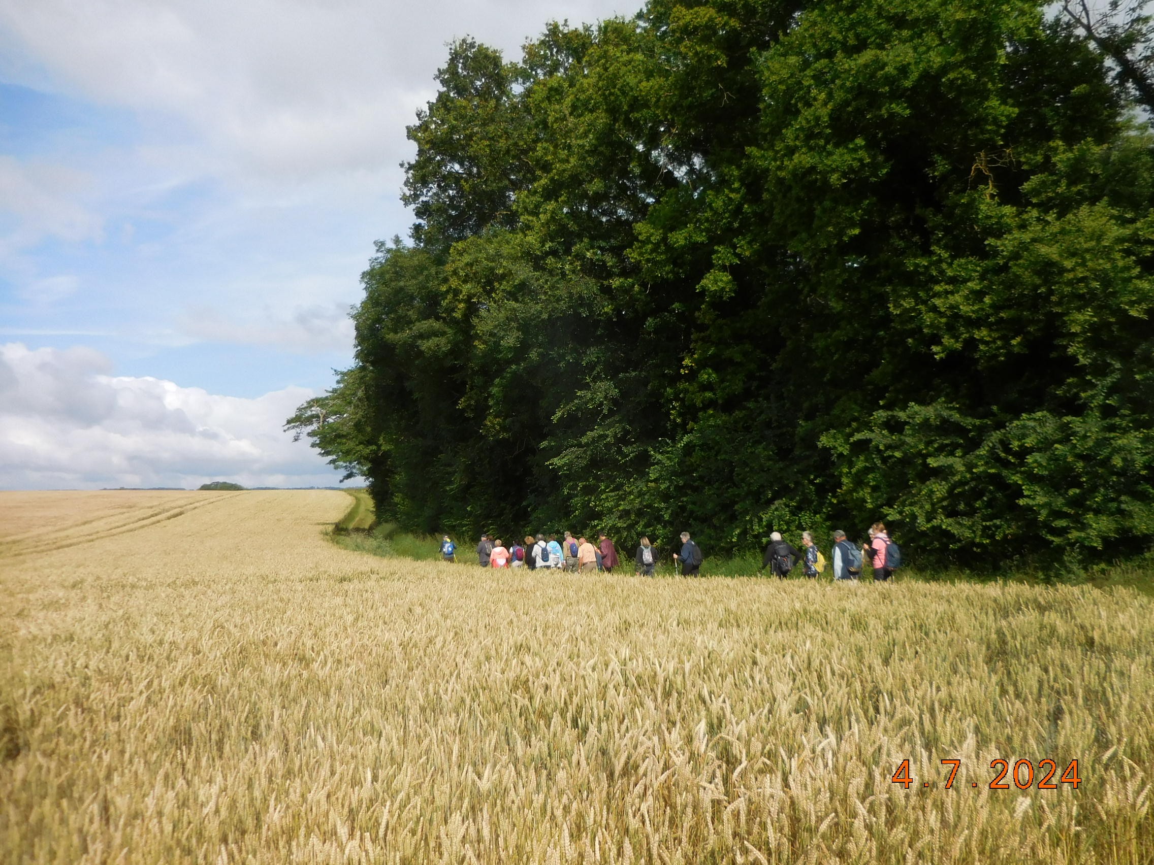 LE TILLET -FOULANGUES - LE TILLET LE 04/07/2024