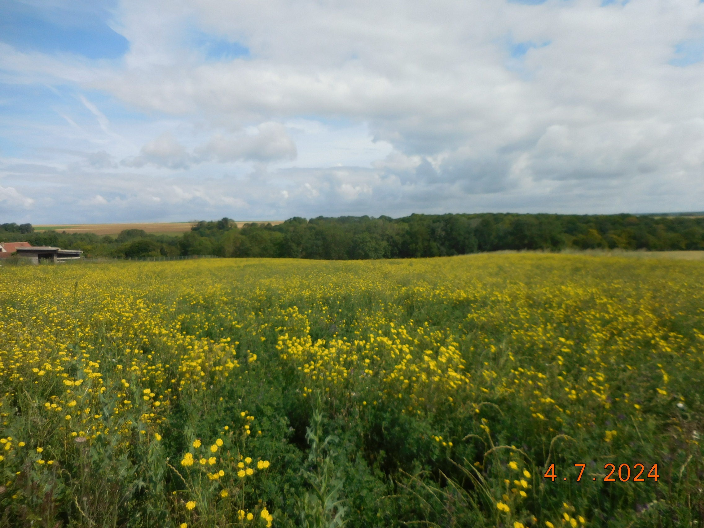 LE TILLET -FOULANGUES - LE TILLET LE 04/07/2024