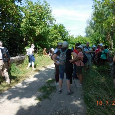 Boran -Baillon -Royaumont - Boran le 18/07/2024