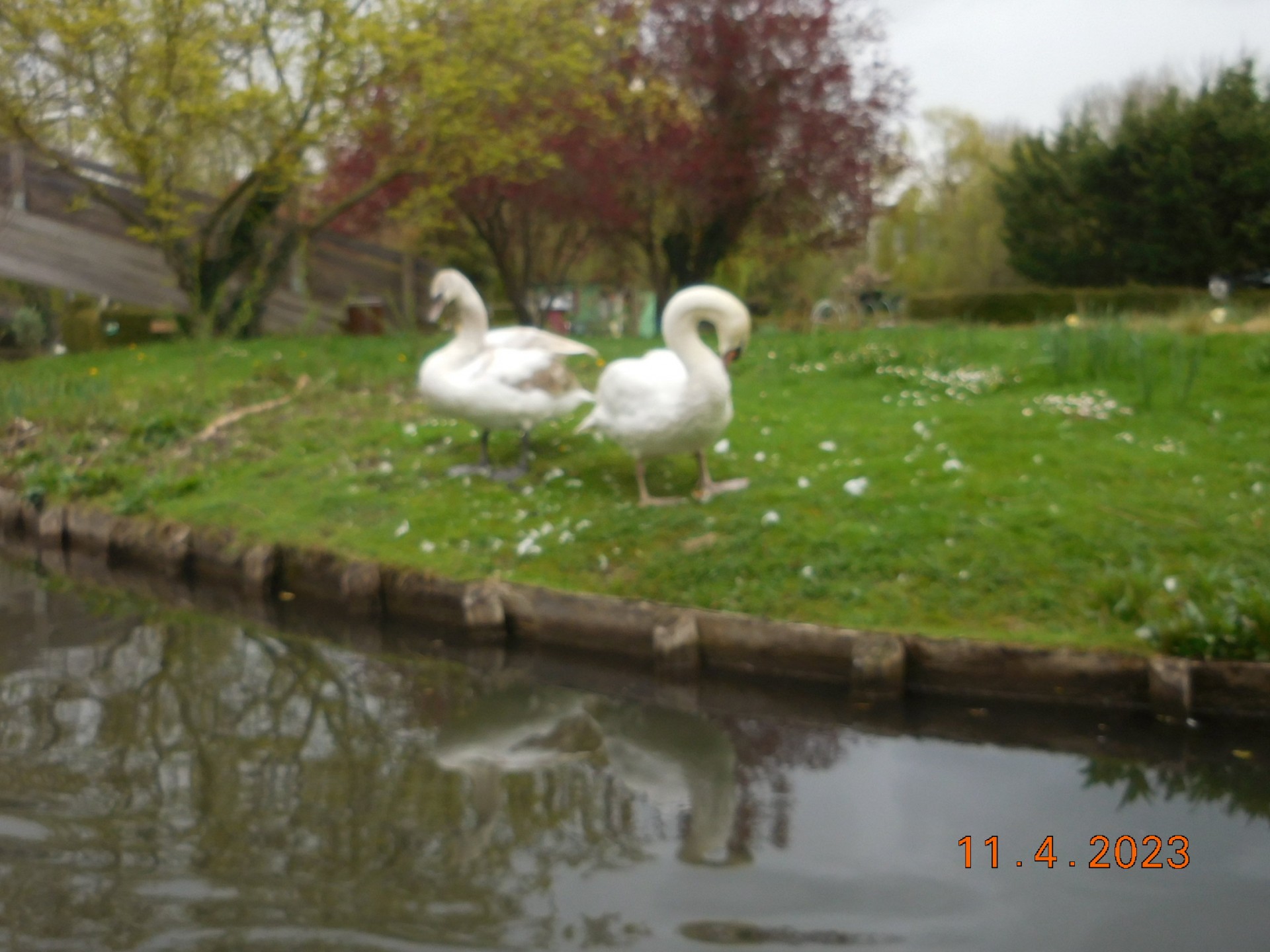 CROISIERE SUR LE PICARDIE ET LES HORTILLONNAGES A AMIENS LE 11/04/2023