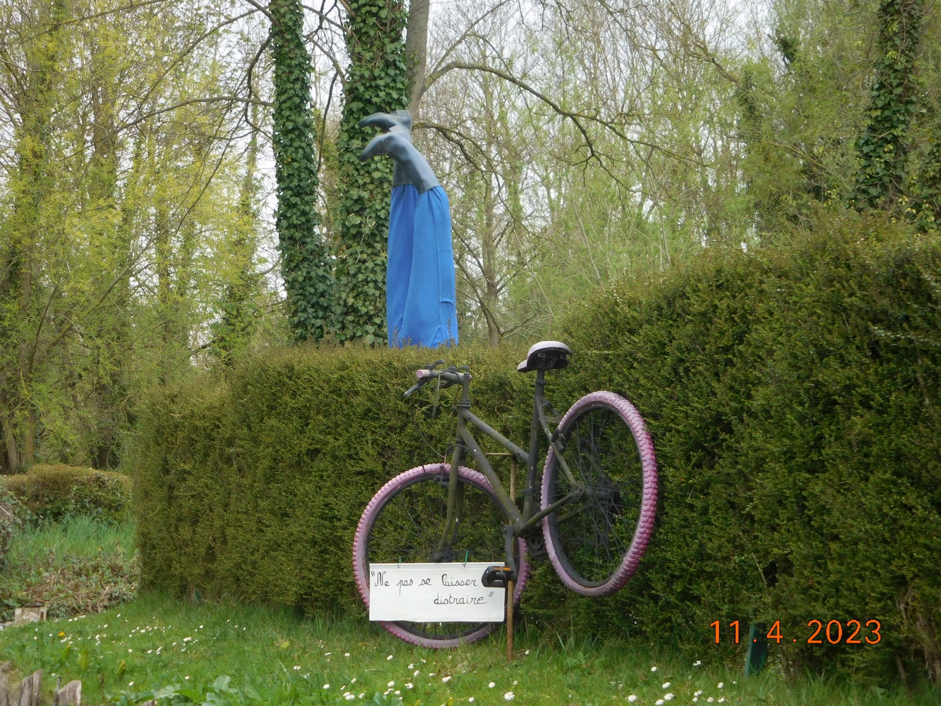 CROISIERE SUR LE PICARDIE ET LES HORTILLONNAGES A AMIENS LE 11/04/2023