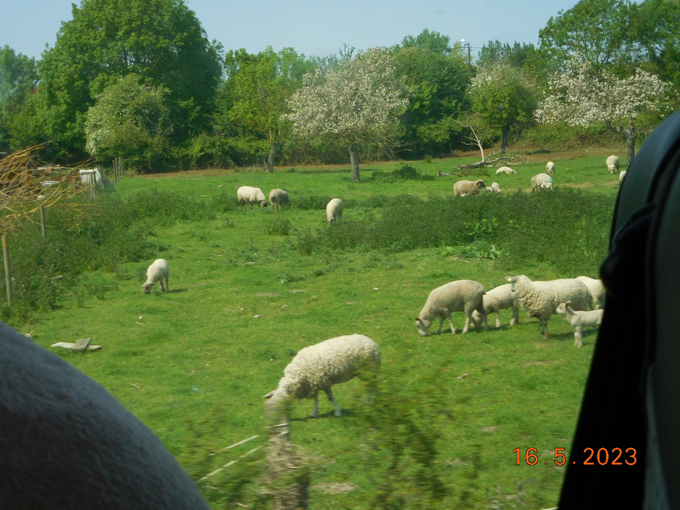  LA COTE PICARDE LE 16/05/2023