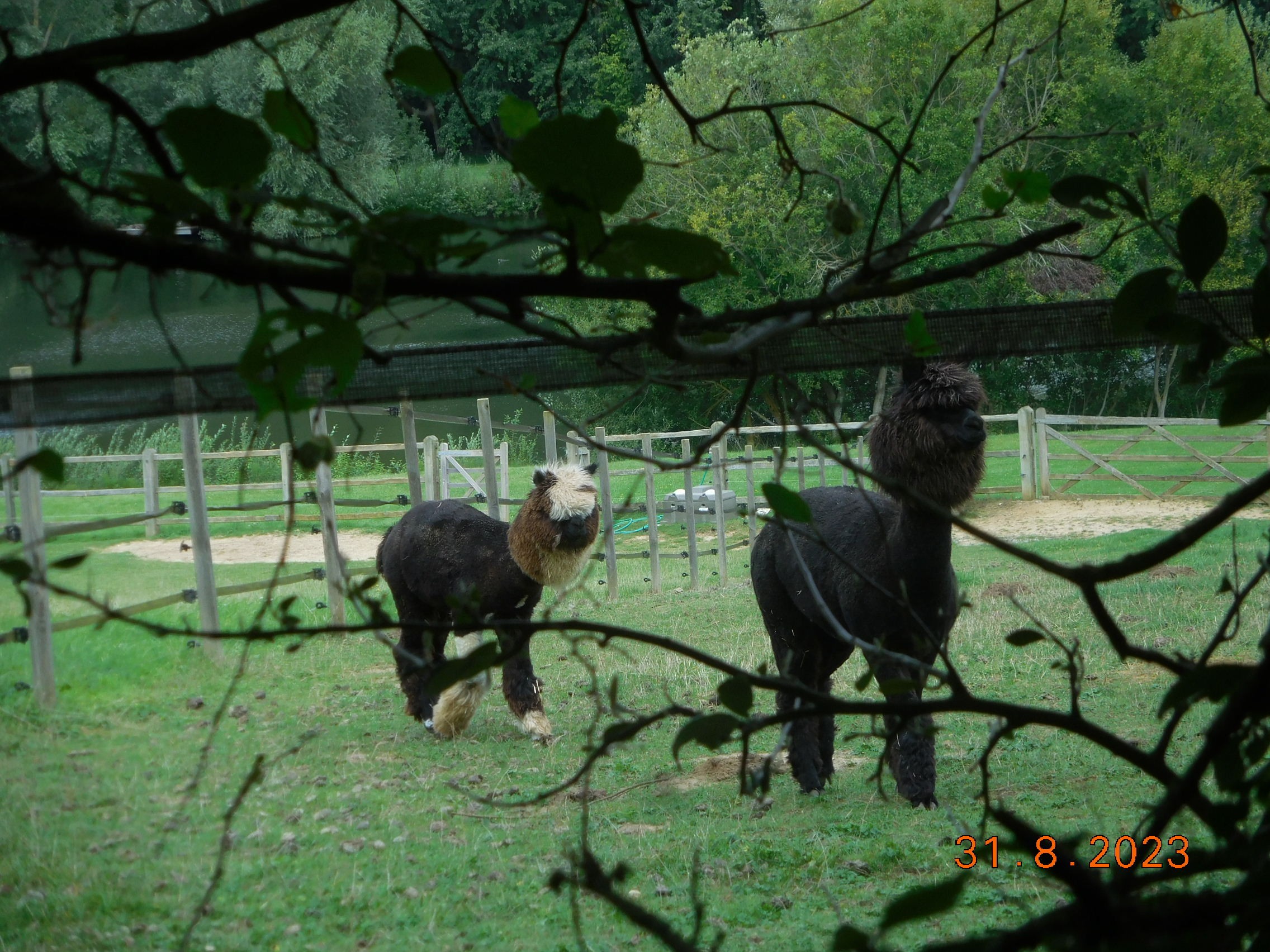 MOUY LE 31/08/2023