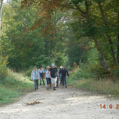 Orry la Ville-Dans la Forêt des Moines le 14/09/2023