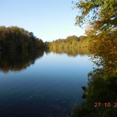  Vues d'automne aux étangs de Commelle le 27/10/2023