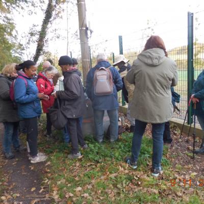 Boucle Luzarches-Chaumontel-Luzarches le 09/11/2023