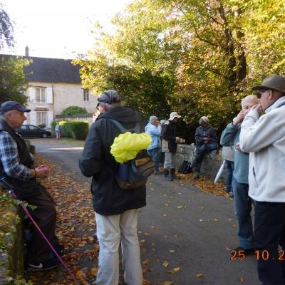 Chantilly - Vineuil St Firnin - Avillt St Léonard Chantilly le 25/10/2024