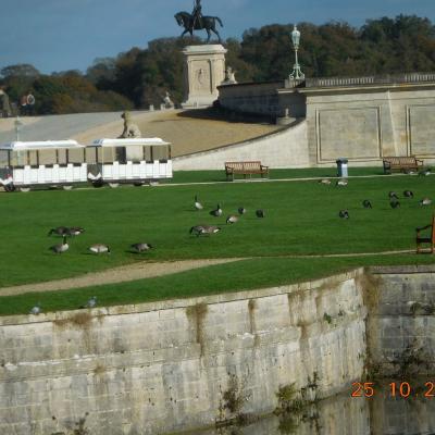 Chantilly - Vineuil St Firnin - Avillt St Léonard Chantilly le 25/10/2024