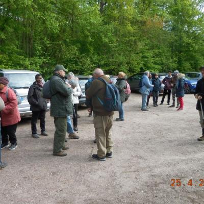  TOUR DES ETANGS DE COMMELLES AU PRINTEMPS LE 25/04/2024