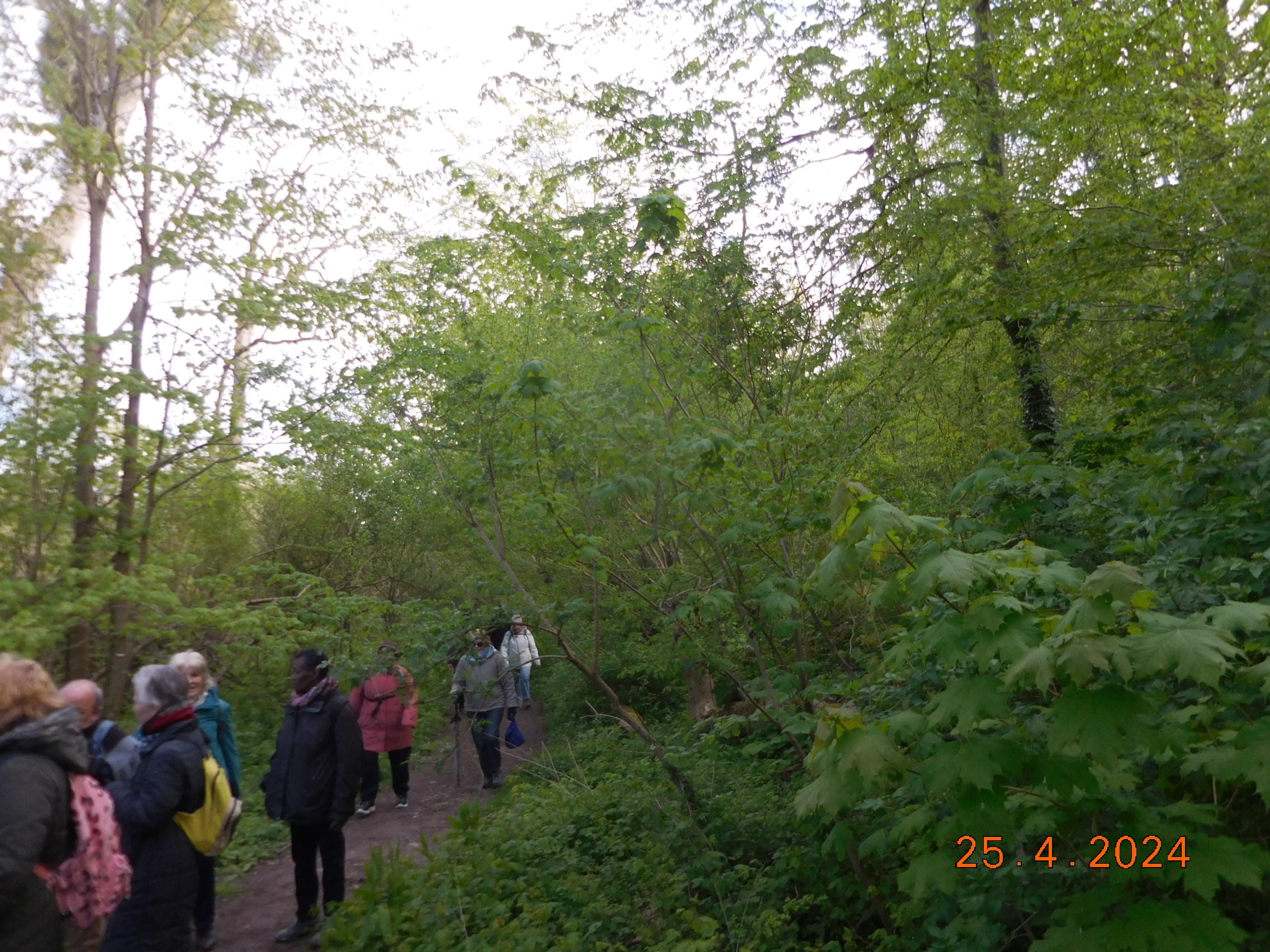  TOUR DES ETANGS DE COMMELLES AU PRINTEMPS LE 25/04/2024