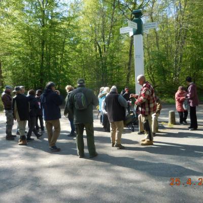  TOUR DES ETANGS DE COMMELLES AU PRINTEMPS LE 25/04/2024