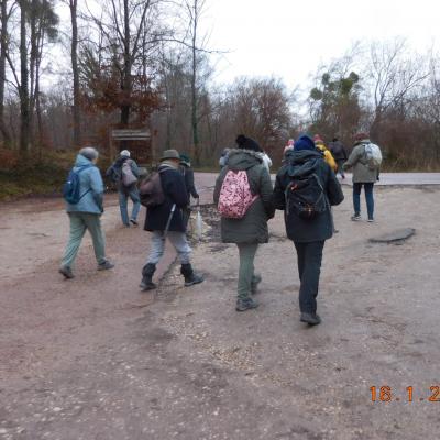 LES ETANGS DE COMELLE LE 16/01/2025