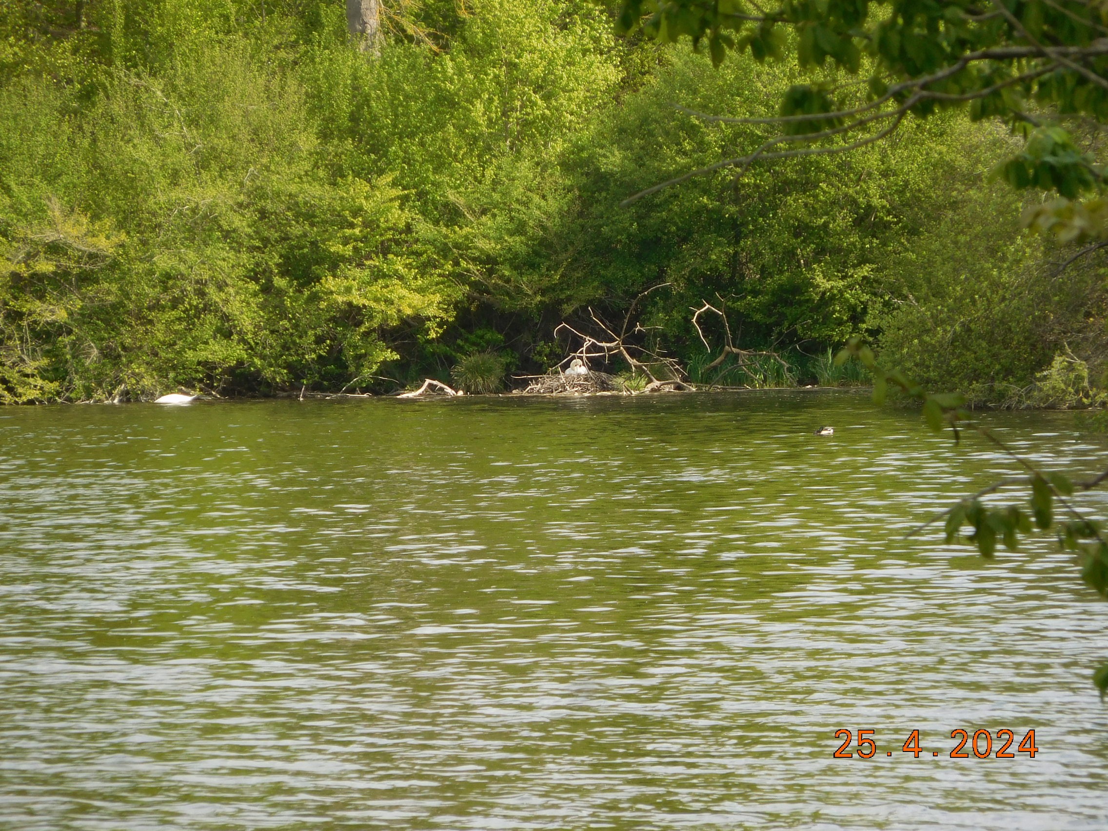  TOUR DES ETANGS DE COMMELLES AU PRINTEMPS LE 25/04/2024