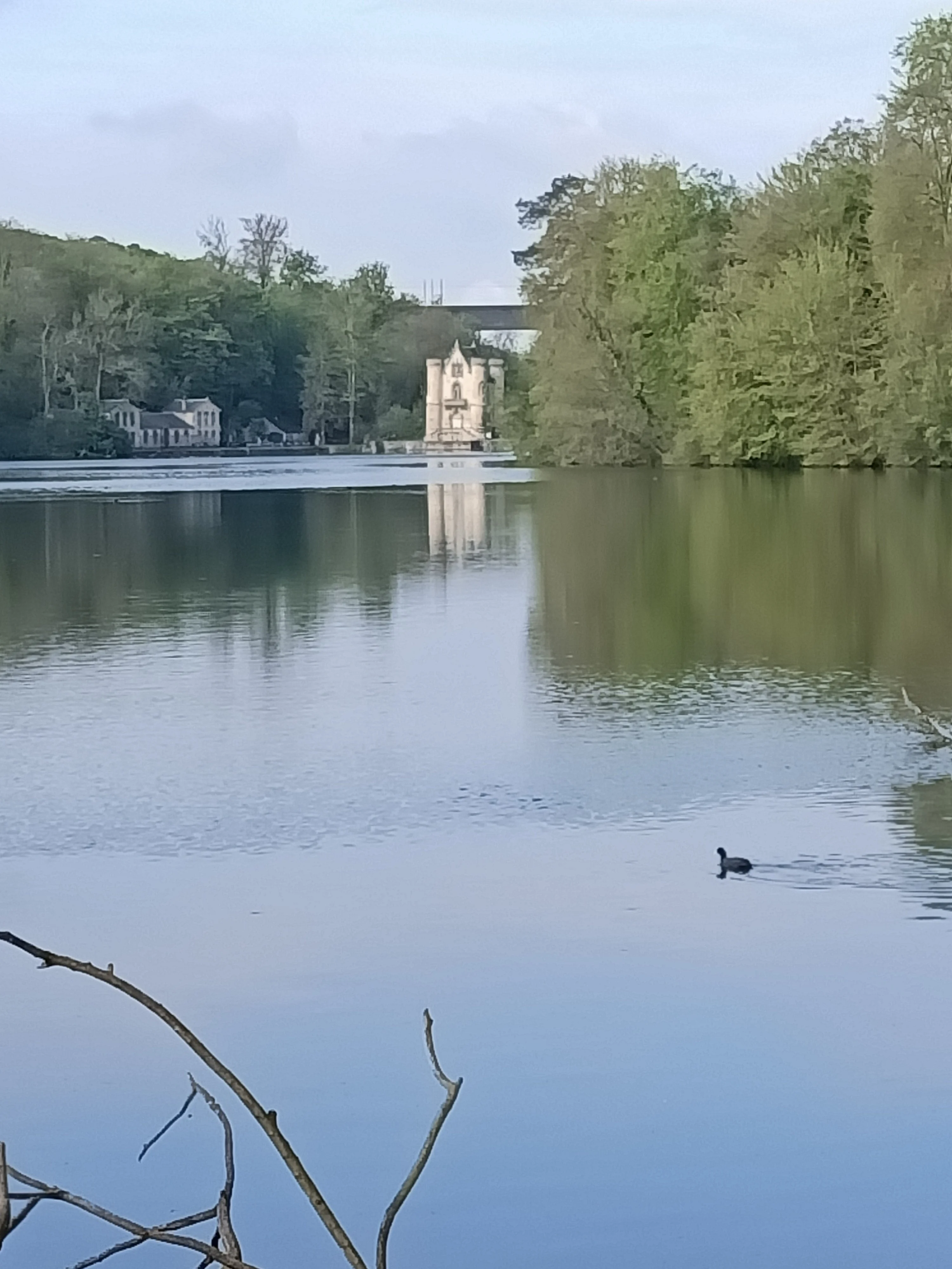 Les étangs de Comelle au printemps