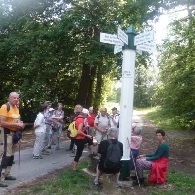 Marche du 06/07/2023 avec pique-nique amélioré à Fleurines